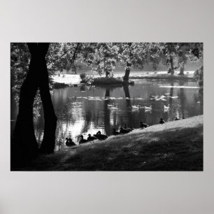 Park Life wapcnm Poster