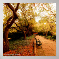 Park, NYC Central Park,