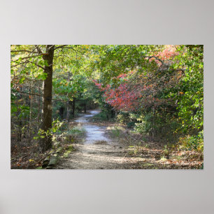 Park Path Photo Poster