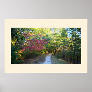 Park Path Photo Poster