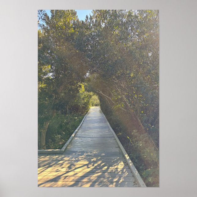Park Path Poster (Front)