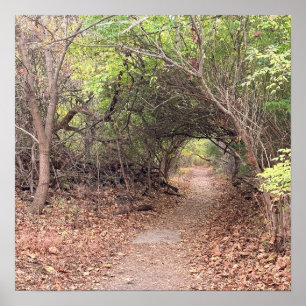 Park Path Poster