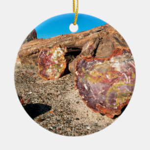 Park Petrified Forest Ceramic Ornament