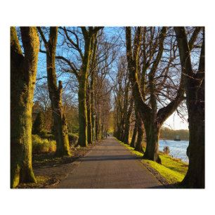 Park photo print