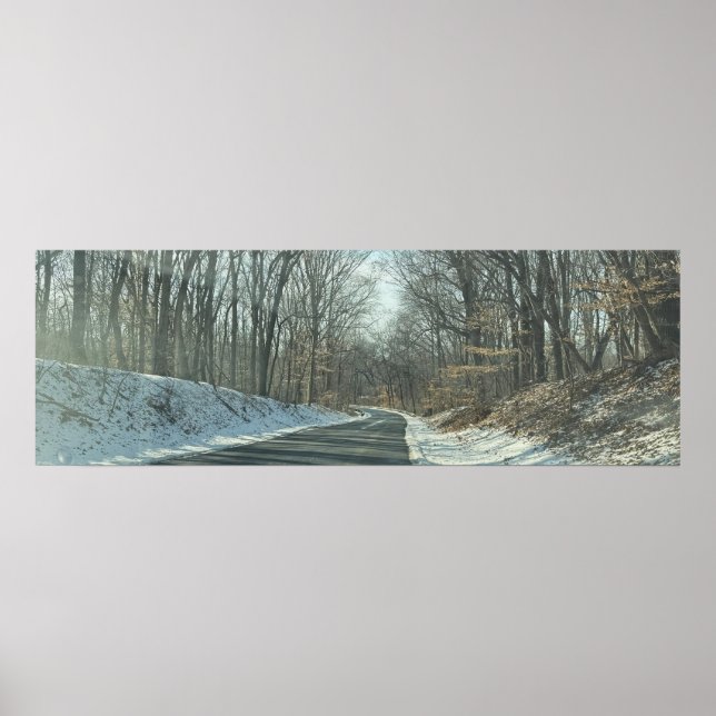 Park Roadway in Winter Poster (Front)