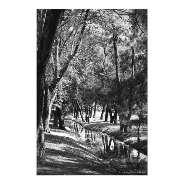Park Stream B&W Photograph Print (Front)