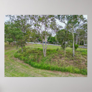 Park Trees Beside Roadside Green Landscape Poster