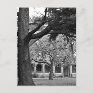 Park view postcard