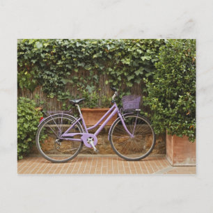 Parked bicycle, Pienza, Italy, Tuscany Postcard