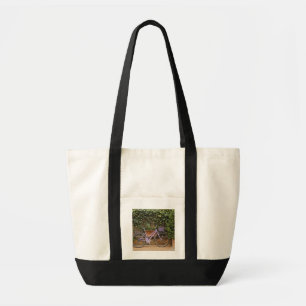Parked bicycle, Pienza, Italy, Tuscany Tote Bag