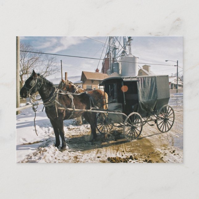 Parked Horse and Buggy Postcard (Front)