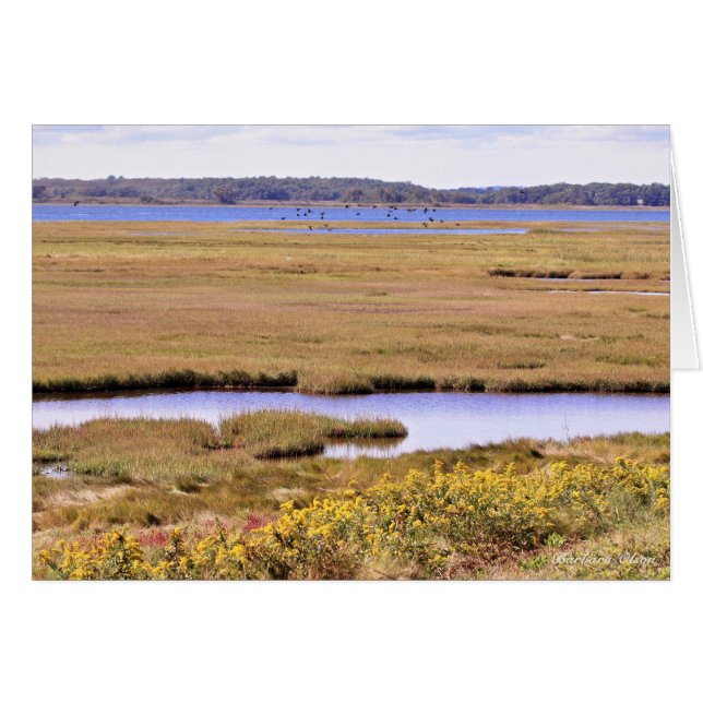 Parker River national Wildlife Refuge: Plum Island (Front Horizontal)