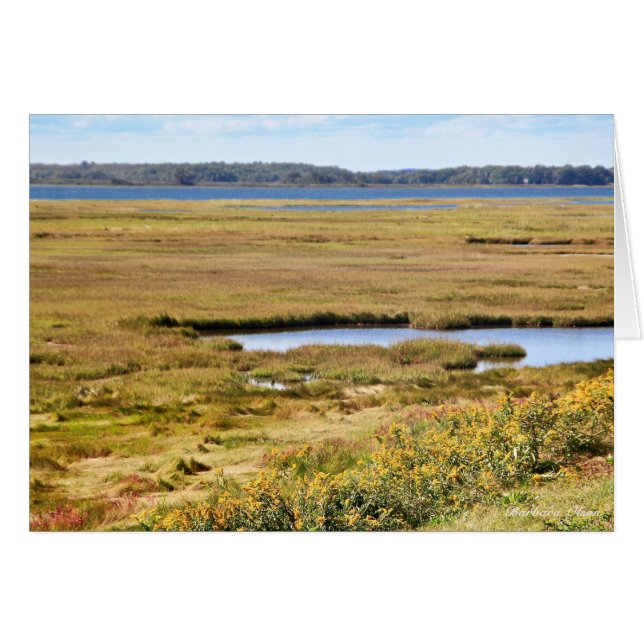 Parker River Wildlife Refuge: Plum Island (Front Horizontal)
