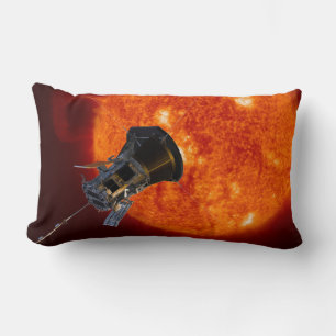 Parker Solar Probe Spacecraft Lumbar Cushion