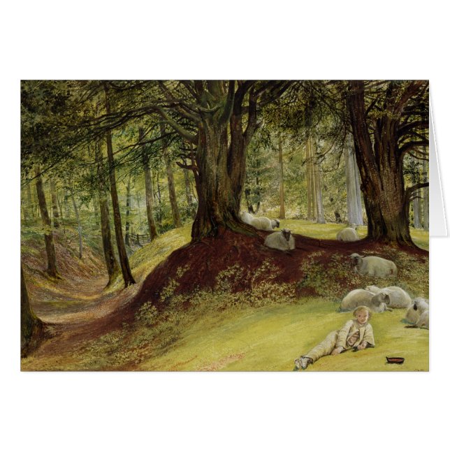 Parkhurst Woods, Abinger, Surrey (Front Horizontal)