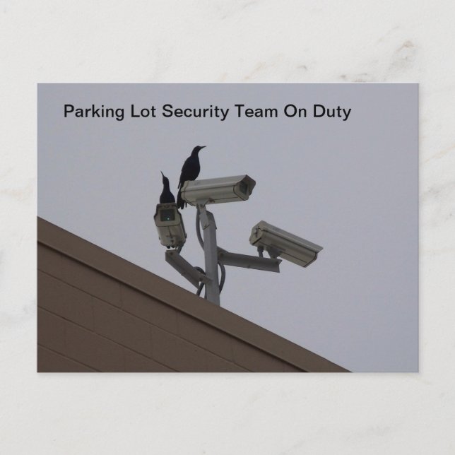 Parking Lot Security Postcard (Front)