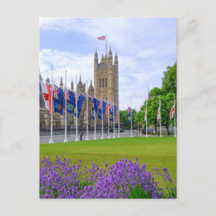 Parliament Square, Westminster, London UK Postcard