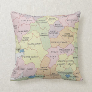 Parliamentary Representation Ireland Cushion
