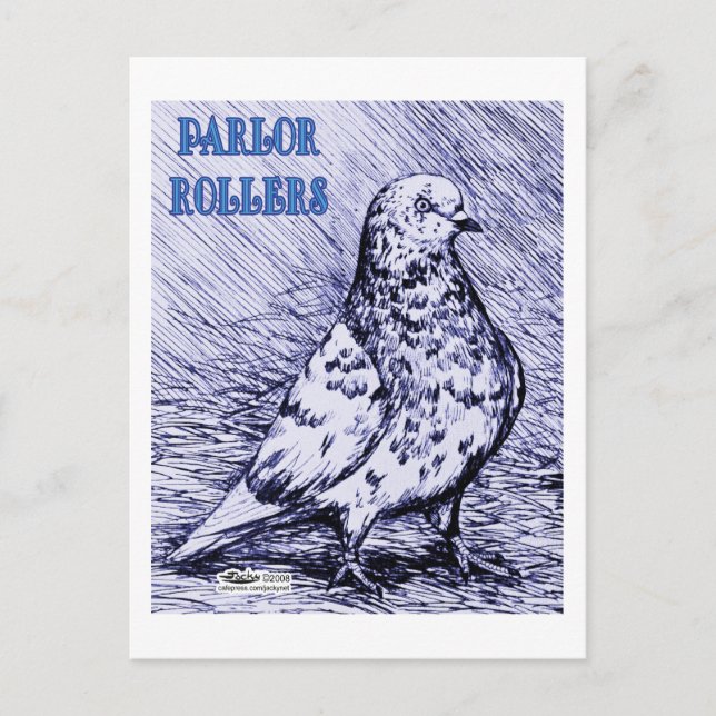 Parlour Roller Pigeon Postcard (Front)