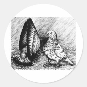 Parlour Roller Pigeons Classic Round Sticker
