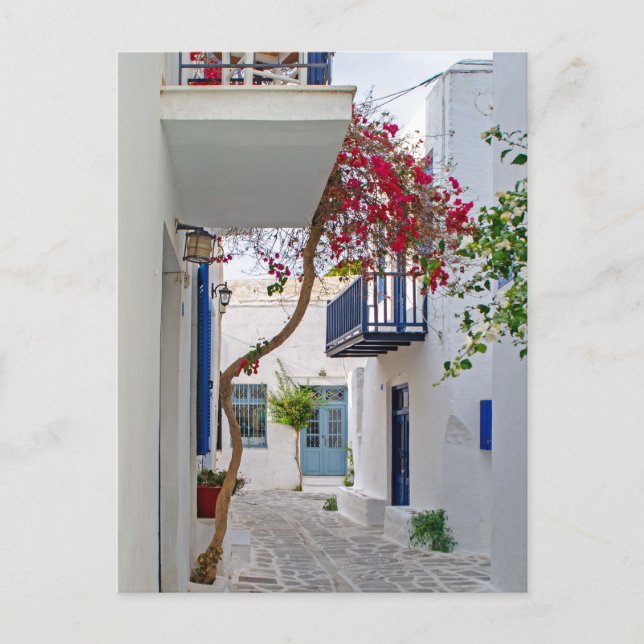 Paros Parikia Summer Alley Postcard (Front)