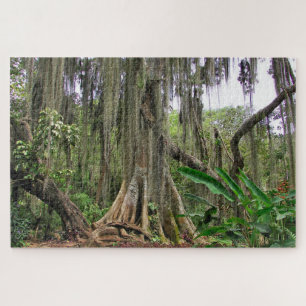 Parque Gallineral of San Gil Jig Saw Puzzle