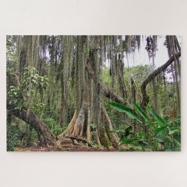 Parque Gallineral of San Gil Jig Saw Puzzle (Horizontal)