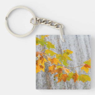 Parque Natural del Monasterio - Fall Leaves Key Ring
