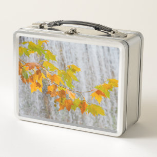 Parque Natural del Monasterio - Fall Leaves Metal Lunch Box