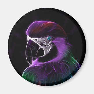 parrot #2 magnet