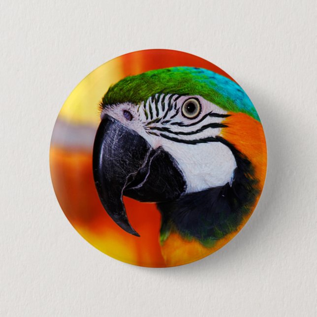 Parrot 6 Cm Round Badge (Front)