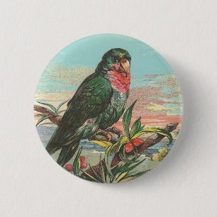 Parrot 6 Cm Round Badge