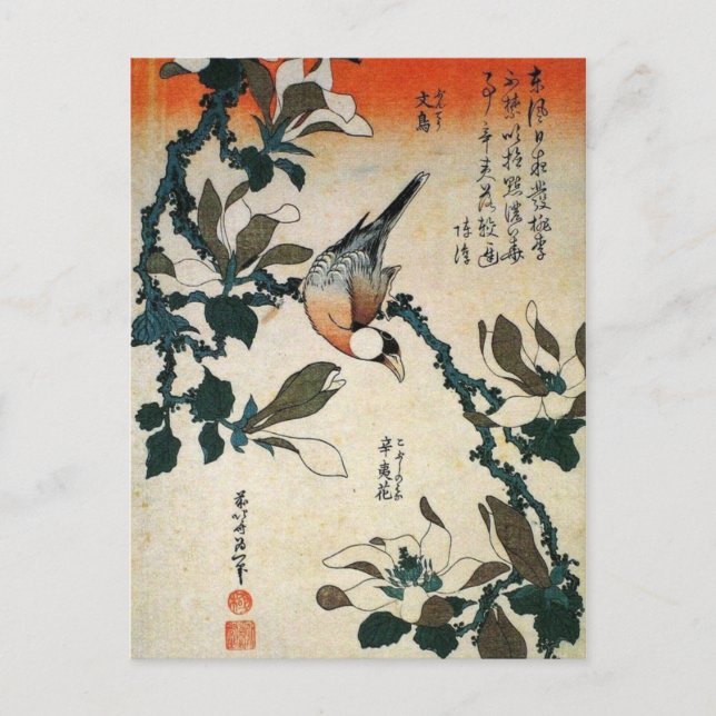 Parrot and Flowers Postcard (Front)