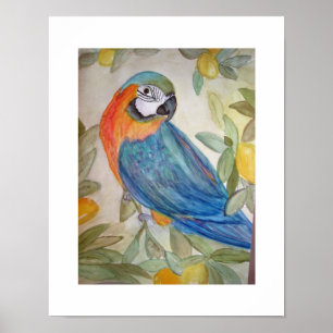 Parrot and Lemons Poster