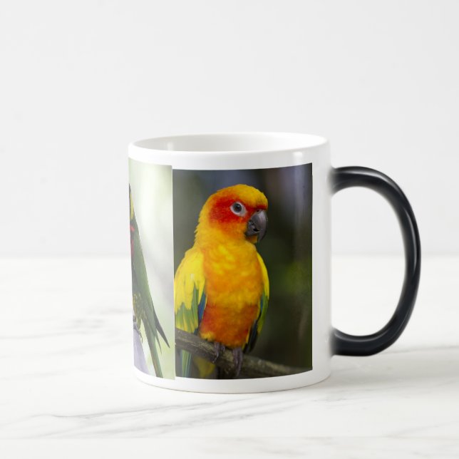 Parrot and Lorikeets Mug (Right)