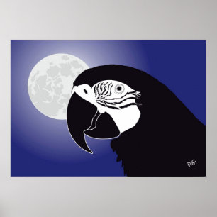 Parrot Ara poster