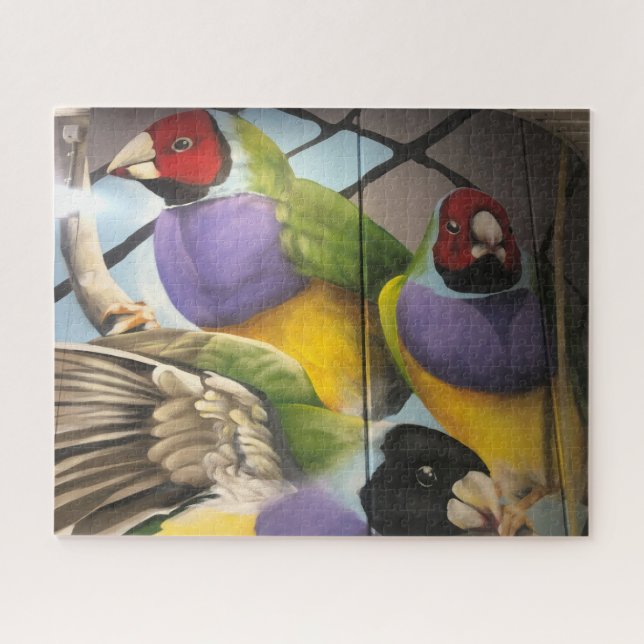 parrot art jigsaw puzzle (Horizontal)