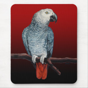 Parrot Art Mousepad African Grey Parrot Gifts