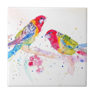 Parrot art Watercolour Painting Aqua Teal Ceramic Tile