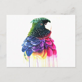 Parrot Bird Abstract Oil Painting Postcard