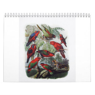 parrot, bird collection calendar