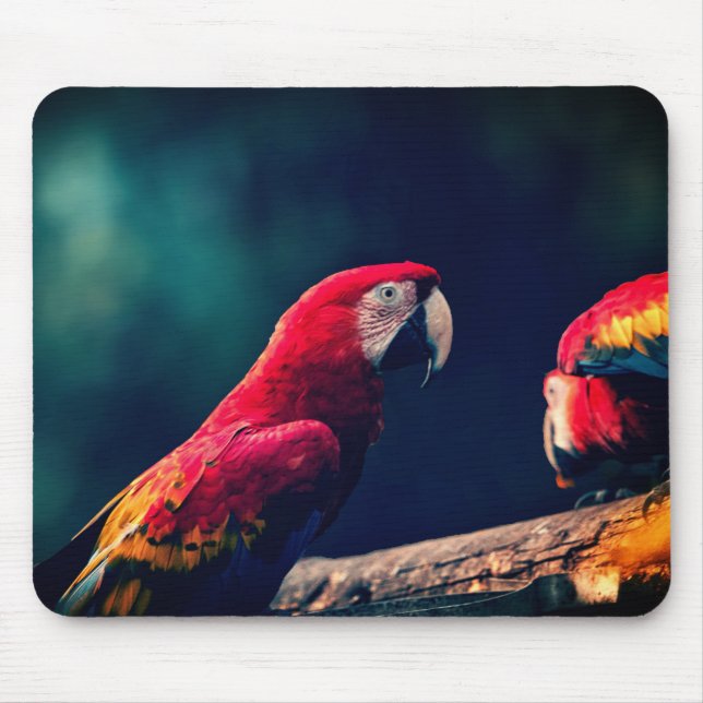 parrot, bird, macaw mouse pad (Front)