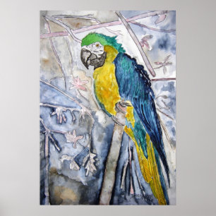parrot_bird_painting poster