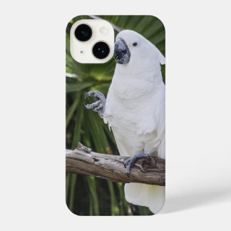 parrot, bird, sitting iPhone 14 case