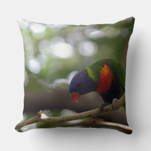 parrot bird tiger print personalise Anniversaries Cushion