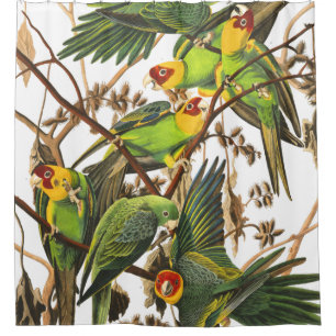 Parrot Birds Wildlife Audubon Shower Curtain