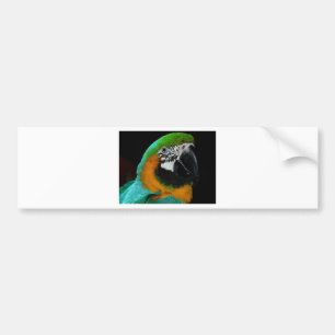 Parrot Bumper Sticker