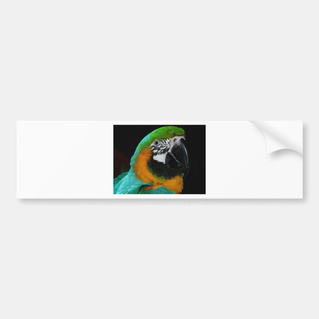 Parrot Bumper Sticker (Front)
