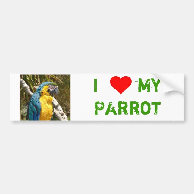 parrot bumper sticker (Front)