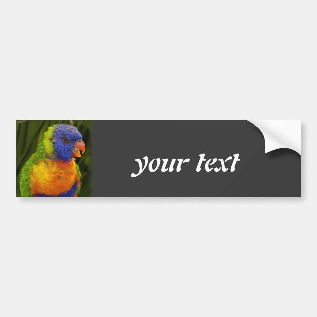 parrot bumper sticker (Front)